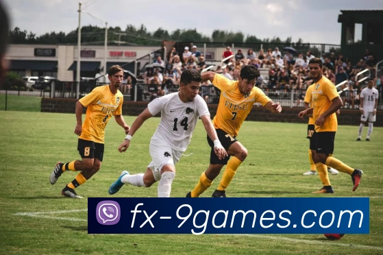 九游官网APP 体育赛事宣传图